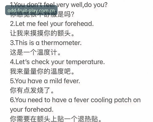 奇异果体育官网观赛攻略：世界杯签证危机下的应对指南